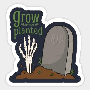 Grow Where You Are Planted Halloween Sticker